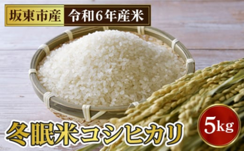 No.763 「令和6年産」冬眠米コシヒカリ　5kg ／ お米 コメ 甘み ツヤ 茨城県 特産品 1423627 - 茨城県坂東市