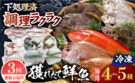 【全3回定期便】【平戸市場直送】旬の獲れたて鮮魚（冷凍）＜4〜5種類＞ 平戸市 / ひらど新鮮市場 [KAB228]