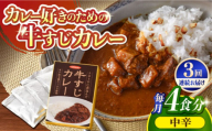 【全3回定期便】【着日指定 可能】【とろっとろになるまで煮込んだ】牛すじカレー 4食セット（中辛） 平戸市 / カレー工房 NVfoods [KAB264]