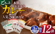 【全3回定期便】【カレー好きのためのアソートセット】カレー工房NVfoodsのカレー5種（12袋）詰め合わせセット [KAB288]