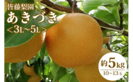 【数量限定・期間限定】【皆藤梨園】あきづき（約5kg/3L～5L/10～13玉） 数量限定 期間限定 先行予約 梨 あきづき 果物 なし ナシ 秋月 くだもの フルーツ 75-D