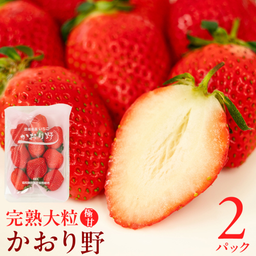 【 2026年1月上旬発送開始 】 完熟 かおり野 260g×2P 国産 いちご イチゴ 苺 果物 フルーツ 茨城県産 KEK 果物 フルーツ [BC024sa] 1423918 - 茨城県桜川市