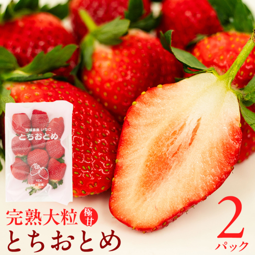 【 2026年1月上旬発送開始 】 完熟 とちおとめ 約260g×2P 国産 いちご イチゴ 苺 果物 フルーツ [BC025sa] 1423919 - 茨城県桜川市