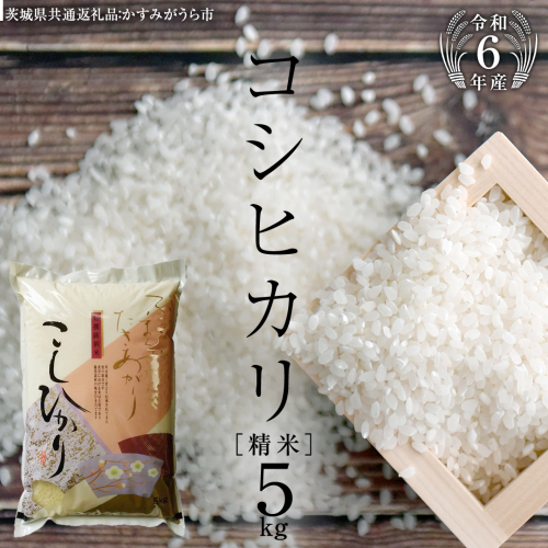 【 令和6年産 】 コシヒカリ 精米 5kg ( 5kg × 1袋 ) (茨城県共通返礼品 かすみがうら市) 米 ごはん もっちり 甘い コメ お米 白米 [EX001sa] 1424078 - 茨城県桜川市