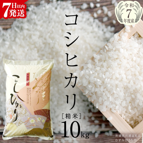 【令和7年産】 コシヒカリ 精米10kg（10kg×1袋）（茨城県共通返礼品 かすみがうら市産） 新米 米 ごはん もっちり 甘い コメ お米 白米 銘柄米[EX002sa] 1424079 - 茨城県桜川市