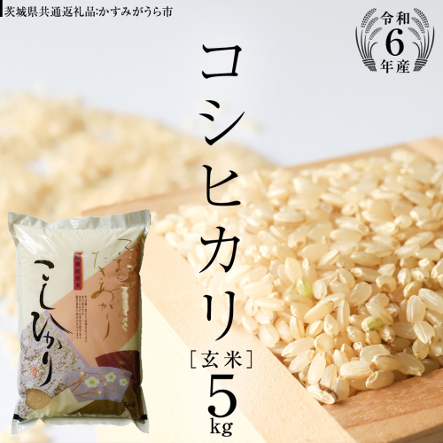 【 令和6年産 】 コシヒカリ 玄米 5kg ( 5kg × 1袋 ) (茨城県共通返礼品 かすみがうら市) 米 ごはん もっちり 甘い コメ お米 玄米 [EX003sa] 1424080 - 茨城県桜川市