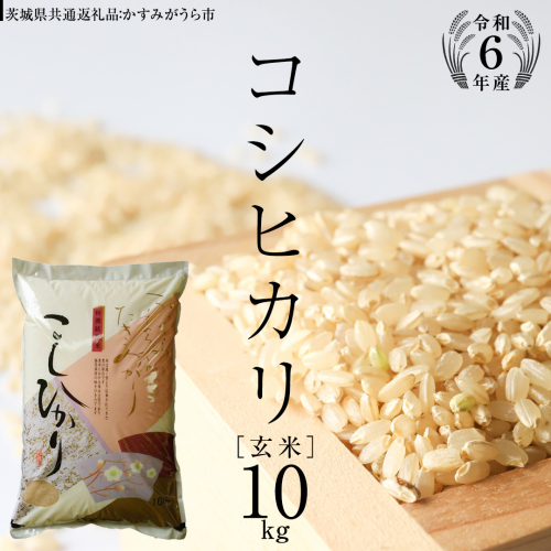 【 令和6年産 】 コシヒカリ 玄米 10kg ( 10kg × 1袋 ) (茨城県共通返礼品 かすみがうら市) 米 ごはん もっちり 甘い コメ お米 玄米 [EX004sa] 1424082 - 茨城県桜川市