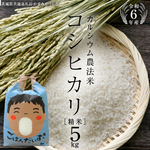 【 令和6年産 】 カルシウム農法米 コシヒカリ 精米 5kg ( 5kg × 1袋 ) (茨城県共通返礼品 かすみがうら市) 米 ごはん 粘り ツヤ コメ お米 白米 [EX005sa] 1424083 - 茨城県桜川市