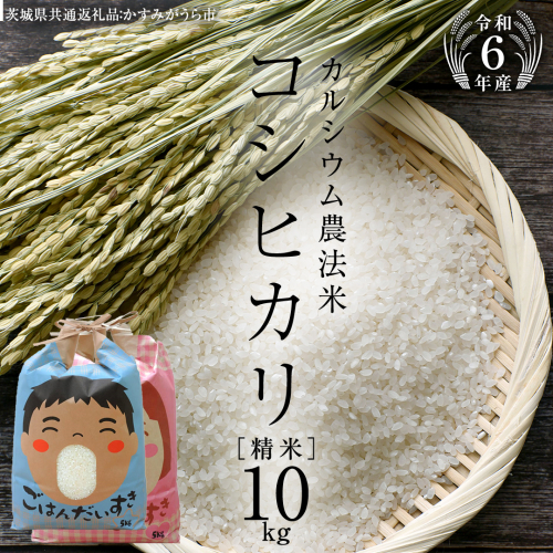 【令和6年産】カルシウム農法米 コシヒカリ 精米 10kg ( 5kg×2袋 ) (茨城県共通返礼品 かすみがうら市) 米 ごはん 粘り ツヤ コメ お米 白米 [EX006sa] 1424084 - 茨城県桜川市