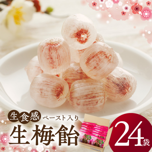生梅飴　梅飴 梅キャンディ 紀州の南高梅 梅肉エキス ペースト お菓子 あめ キャンディー 飴 個包装 袋 リボン RIBON［109R02］ 1424386 - 愛知県小牧市