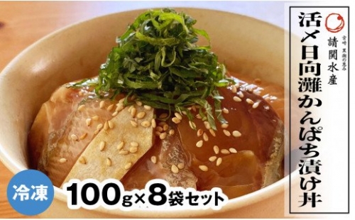 【冷凍】活〆日向灘かんぱち漬け丼 100g×8袋 A919 142441 - 宮崎県延岡市