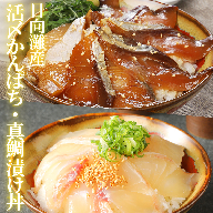 【冷凍】日向灘真鯛とかんぱちの漬け丼2種食べ比べセット　100g×8袋　B232