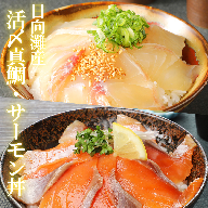 【冷凍】日向灘真鯛と生アトランサーモンの漬け丼2種食べ比べセット　100g×8袋　B062