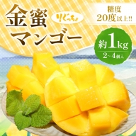 完熟金蜜マンゴー１kg（２個～４個入り）先行予約 果物 南国フルーツ きんみつ種【R00627】