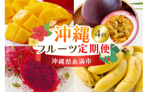 【定期便全4回】沖縄 フルーツ 定期便 4回 パッションフルーツ マンゴー ドラゴンフルーツ フルーツ定期便 沖縄バナナ バナナ 旬 フルーツ 果物 くだもの 完熟マンゴー 沖縄マンゴー 定期便 季節の果物 産地直送 沖縄県 糸満市 【 先行予約 2026年 発送 】