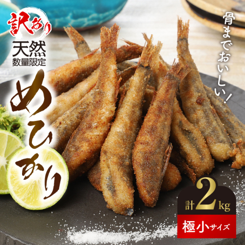 【訳あり】天然めひかり(極小サイズ)500g×4袋 N124-YZA0397 142463 - 宮崎県延岡市