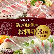 定期便 定番シリーズ 活〆鮮魚のお刺身（3ヶ月お届け）請関水産　N019-ZD041