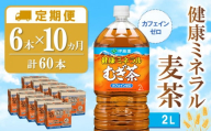 【10か月定期便】健康ミネラル麦茶 2L×6本(合計10ケース)【伊藤園 麦茶 むぎ茶 ミネラル ノンカフェイン カフェインゼロ】F5-C071346