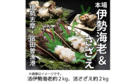 （冷蔵） 活 伊勢海老 活 さざえ セット C 丸池 伊勢えび イセエビ えび 壺焼 高級 鮮魚 海鮮 魚介 刺身 焼き物 汁物 海鮮 特産 海の幸 新鮮 三重県 南伊勢町 伊勢志摩