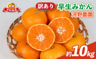 訳あり 早生 みかん 10kg 河野農園 温州みかん 早生みかん 早生温州 温州 蜜柑 mikan 愛媛みかん 愛媛蜜柑 愛媛ミカン 果物 くだもの フルーツ おすすめ 人気のみかん 訳アリ 訳あり品 訳有り わけあり 柑橘 農家直送 産地直送 数量限定 先行予約 国産 愛媛 宇和島 B010-147003