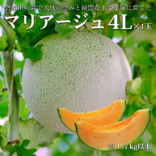 【期間限定】【数量限定】磐梯町産 赤肉メロン 『マリアージュ』 1 玉 4L サイズ　※8月10日以降順次発送 1426859 - 福島県磐梯町