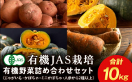 秋の 有機野菜 セット 10kg 《 たかのふぁーむ 》 ジャガイモ いも カボチャ にんじん 人参 野菜 有機 北海道 積丹