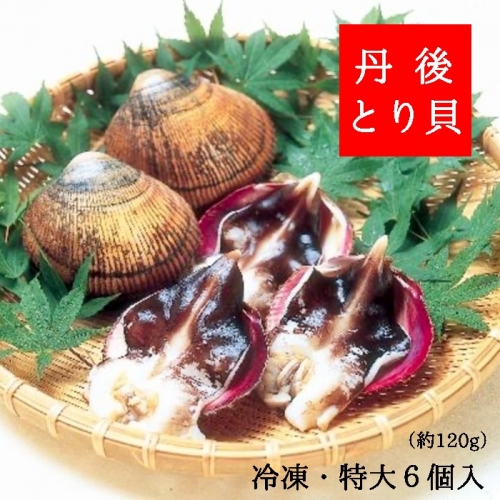 【ふるさと納税】舞鶴産 丹後とり貝 冷凍 特大 6個入 約120g【送料無料】 142689 - 京都府舞鶴市