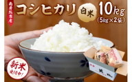 10月発送【新米】南房総市産コシヒカリ10Kg（5kg×2袋）【2024年産】 mi0018-0015-10