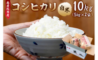 1月発送 南房総市産コシヒカリ10Kg（5kg×2袋）【2024年産】 mi0018-0015-01