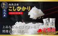 【令和6年産 先行予約】【定期便6ヵ月】南魚沼産コシヒカリ10kg（5kg×2袋）【10kg×6回】【塩沢地区】