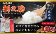 【令和6年産 先行予約】南魚沼産新之助10kg（5kg×2袋）【塩沢地区】