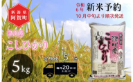 《令和6年産米》【定期便】5回　津川産　こしひかり　5kg（1袋）