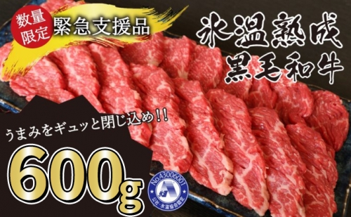 牛肉 氷温(R)熟成 黒毛和牛 焼肉 800g G-59