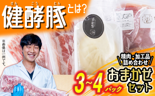 北海道産 健酵豚 おまかせ セット 3～4パック 豚肉 精肉 加工品 おためし 詰め合わせ ブランドポーク 1427127 - 北海道新ひだか町