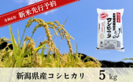 【先行予約】 新米 新潟県産 コシヒカリ 5㎏ (10月以降発送予定)  出雲崎町産 「天領の里」 令和6年産 白米 精米 お米