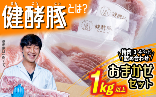 北海道産 健酵豚 精肉 おまかせ セット 1kg 以上( 3～4パック ) 豚肉 おためし 詰め合わせ ブランドポーク 1427167 - 北海道新ひだか町