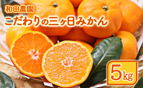 【2024年11月上旬～発送】和田農園のこだわり三ヶ日みかん 5kg 1427587 - 静岡県浜松市