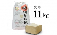 安八町産 ハツシモ (ぎふクリーン米)11kg 令和3年産【玄米】