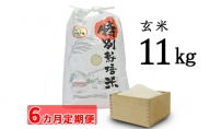 【6カ月定期便】安八町産 ハツシモ (ぎふクリーン米)11kg 令和3年産【玄米】