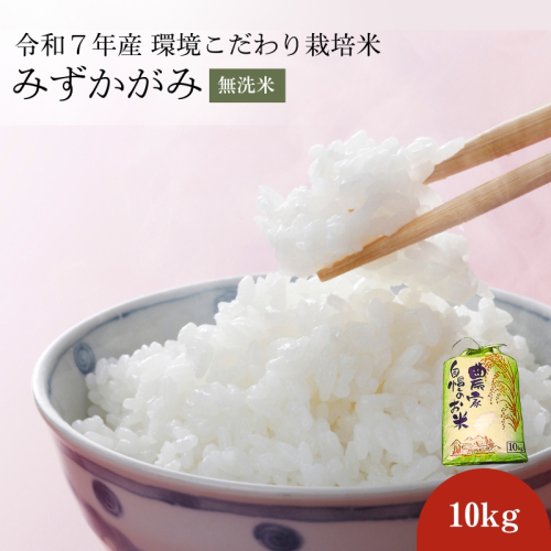 特A受賞歴 お米 10kg みずかがみ 無洗米 令和7年産 環境こだわり栽培米 近江米 米 コメ こめ 滋賀 豊郷 142836 - 滋賀県豊郷町
