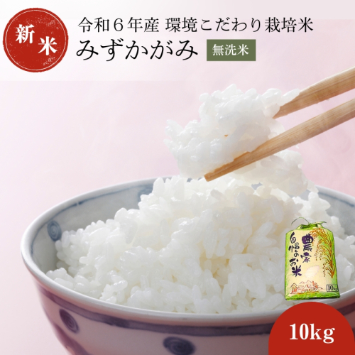 令和6年産みずかがみ　無洗米（環境こだわり栽培米）10kg 142836 - 滋賀県豊郷町