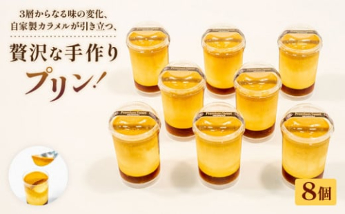 プリン 8個 セット 冷凍 手作り 冷凍スイーツ 冷凍デザート スイーツ デザート ぷりんプリン ウィンズ・アーク 埼玉県 羽生市