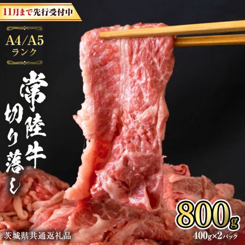 【 2025年12月配送 限定 】 常陸牛 切り落とし 合計 800g ( 400g × 2袋 ) 使いやすい 小分け パック A4 A5 ランク [11月まで先行受付] 茨城県共通返礼品 黒毛和牛 国産黒毛和牛 和牛 国産 牛肉 牛 お肉 肉 ひたち牛  [CD035sa] 1428800 - 茨城県桜川市