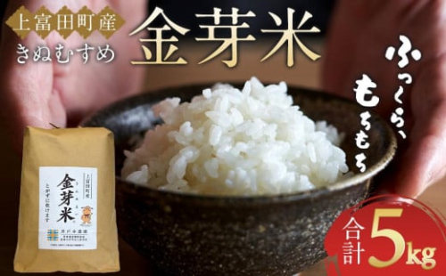 令和7年産  上富田町産 金芽米 きぬむすめ 5kg 井戸本農園 1428909 - 和歌山県上富田町