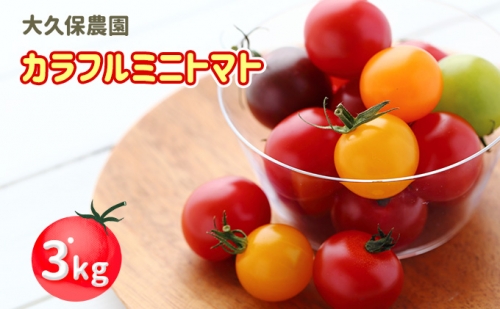 大久保農園の☆新鮮☆カラフルミニトマト詰合せ3kg 142929 - 北海道仁木町
