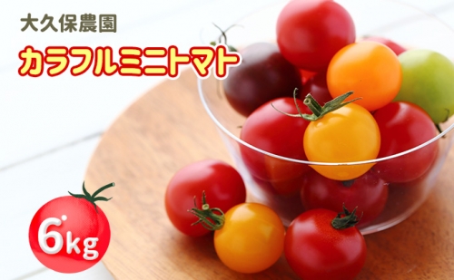 大久保農園の☆新鮮☆カラフルミニトマト詰合せ6kg 142930 - 北海道仁木町