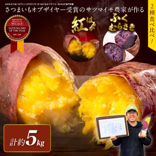 【日本一ダブル受賞セット】紅はるか、ふくむらさきセット計約5kg
 1429448 - 京都府京丹後市