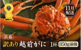 海の中で足が折れたり傷がついた訳あり越前がにです。冬の味覚の王様「越前がに」厳選した越前かにをご提供します福井県の越前町漁港で水揚げされる、黄色いタグ付き越前ずわいがにです【ご注意ください】※越前がに