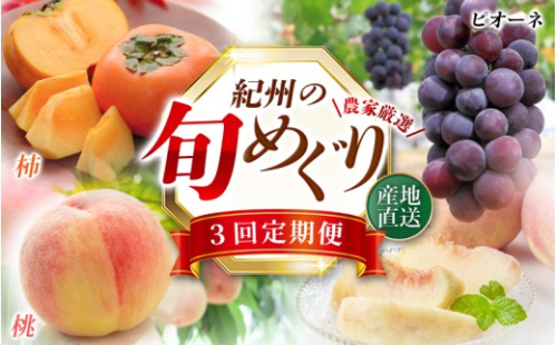 【全3回】紀州和歌山産旬のフルーツ定期便 (桃・ピオーネ・ひらたねなし柿)【tkb371】 1429802 - 和歌山県紀美野町