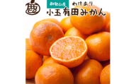 ＜11月より発送＞家庭用 小玉な有田みかん2.5kg+75g(傷み補償分)【わけあり・訳あり】【光センサー選果】※北海道・沖縄・離島への配送不可【ikd153A】